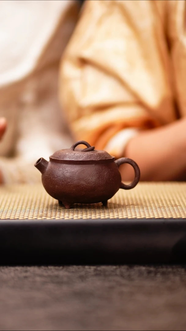 ZCY104紫泥小丑橘