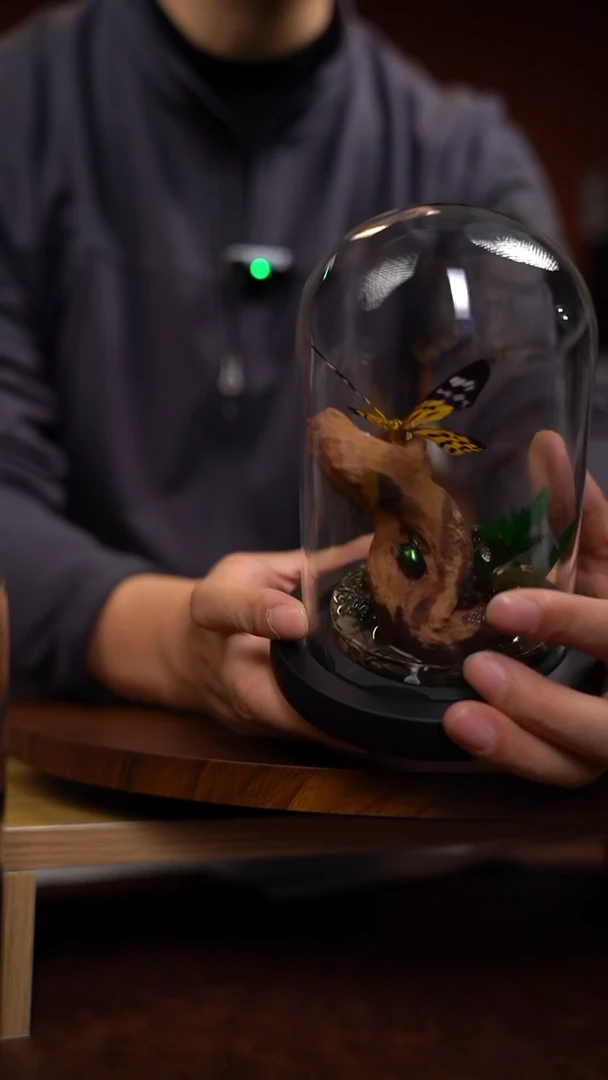 A192真蝴蝶标本微景观造景一图一物