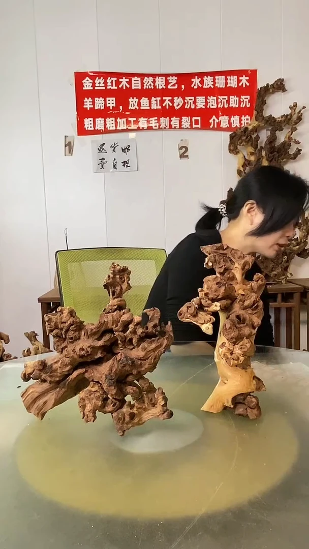 木丙***子金丝红木 羊蹄甲2