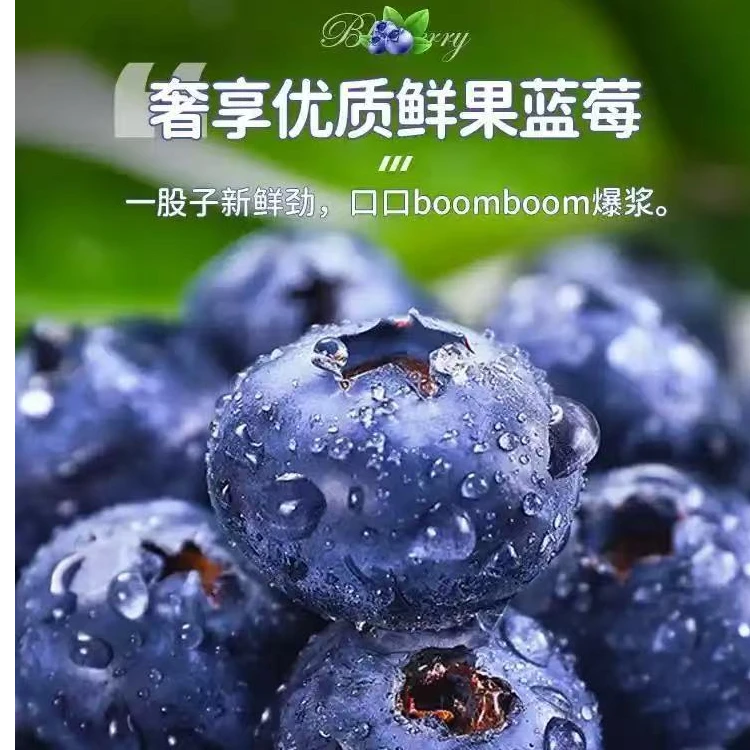 云南蓝莓【顺丰|京东]L25花香蓝莓新鲜采摘脆甜多汁花青素100g/盒
