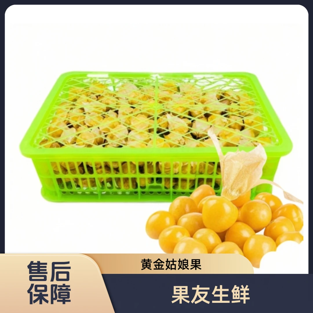 【东北黄金奶香姑娘果】整筐带筐3.8斤左右 太原晋中吕梁忻州购买