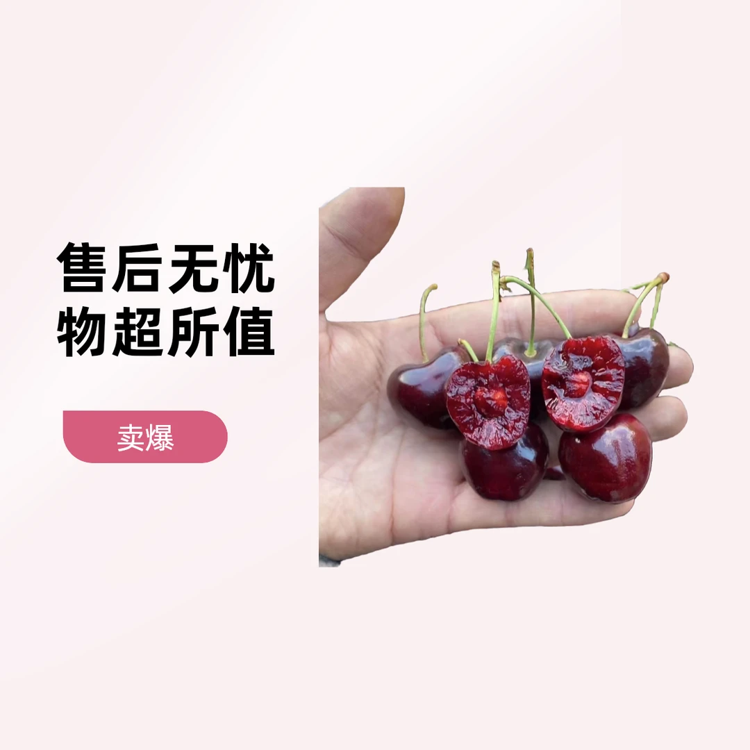 2JDD拉宾斯车厘子/5斤