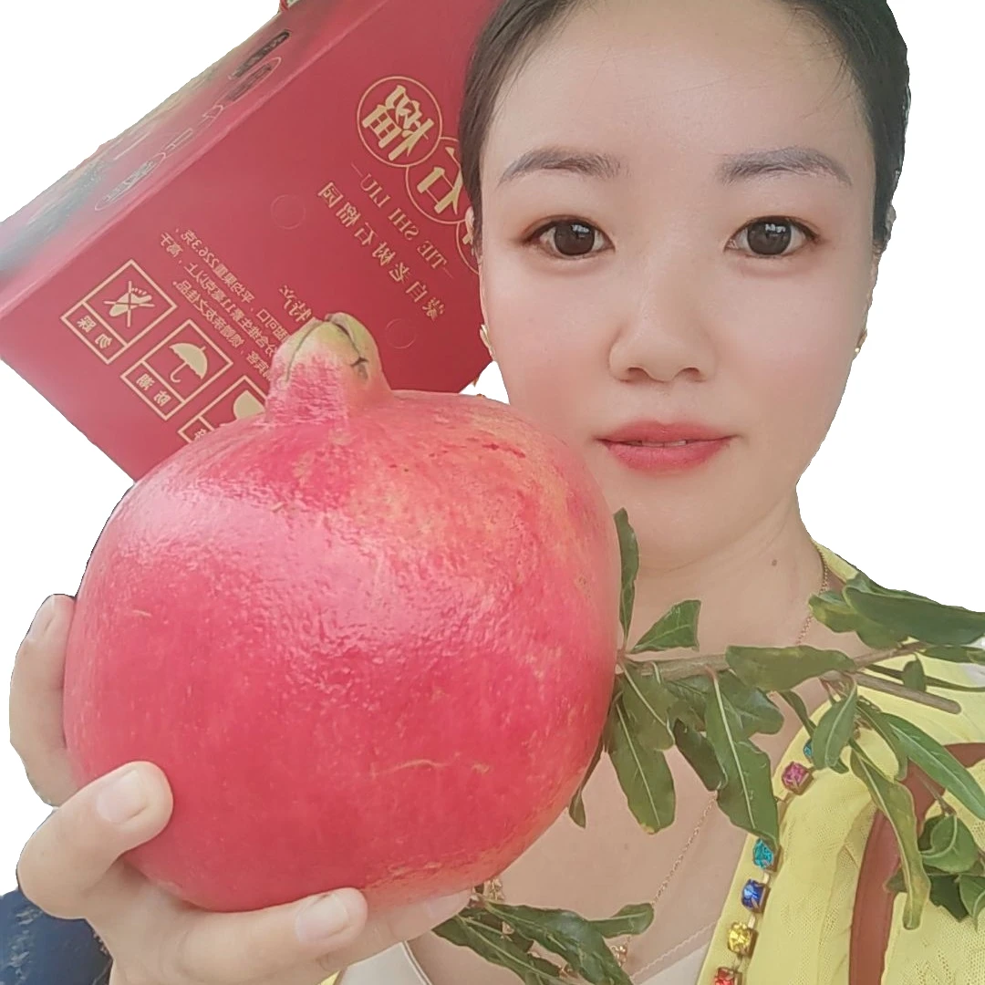 蒙自老树观音甜石榴现摘现发