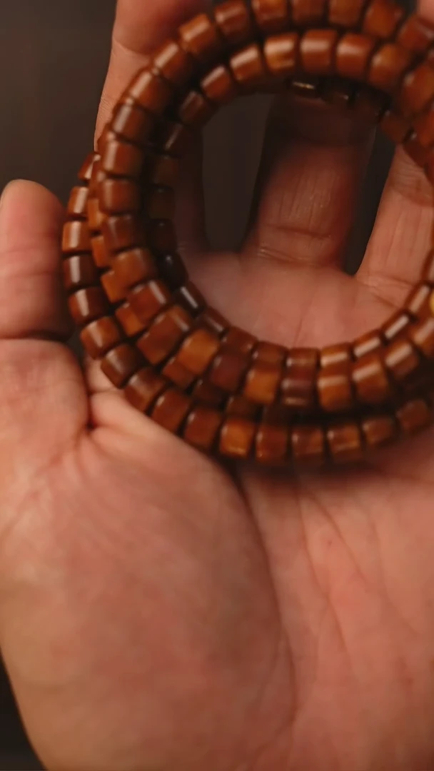 吊坠龙脊菩提S10龙脊菩提