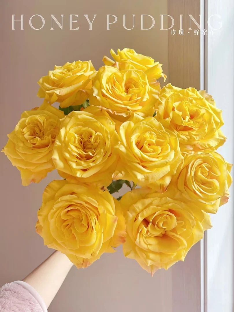 两单包邮！【顺丰冷链】蜂蜜布丁玫瑰花