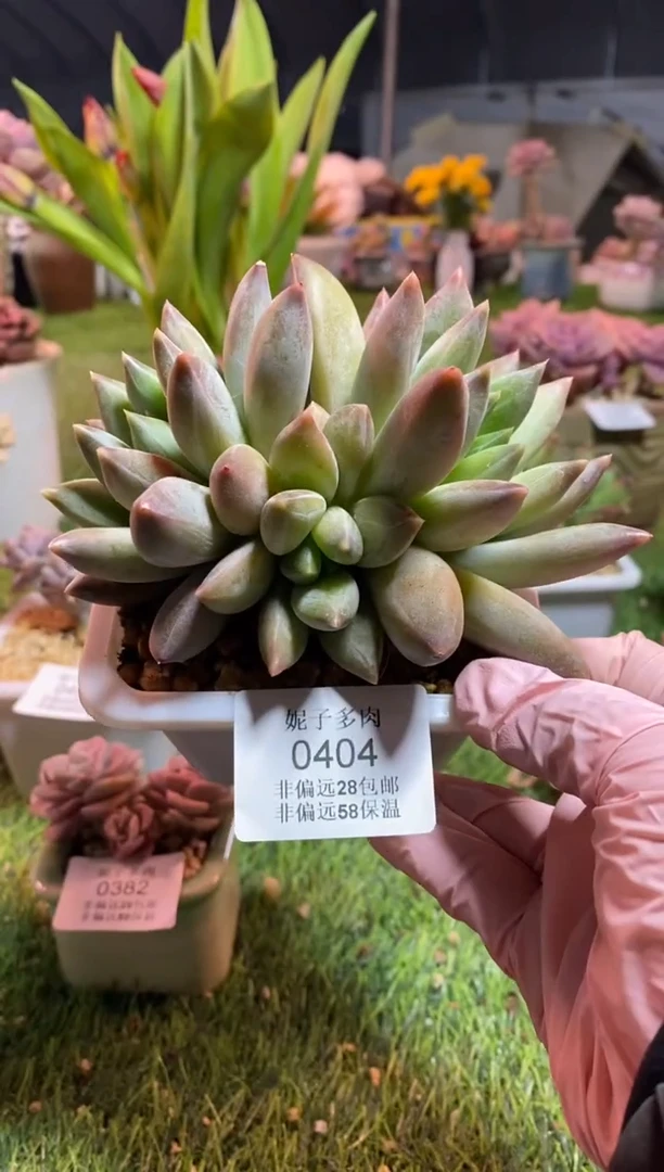 【闪购商品】0404a