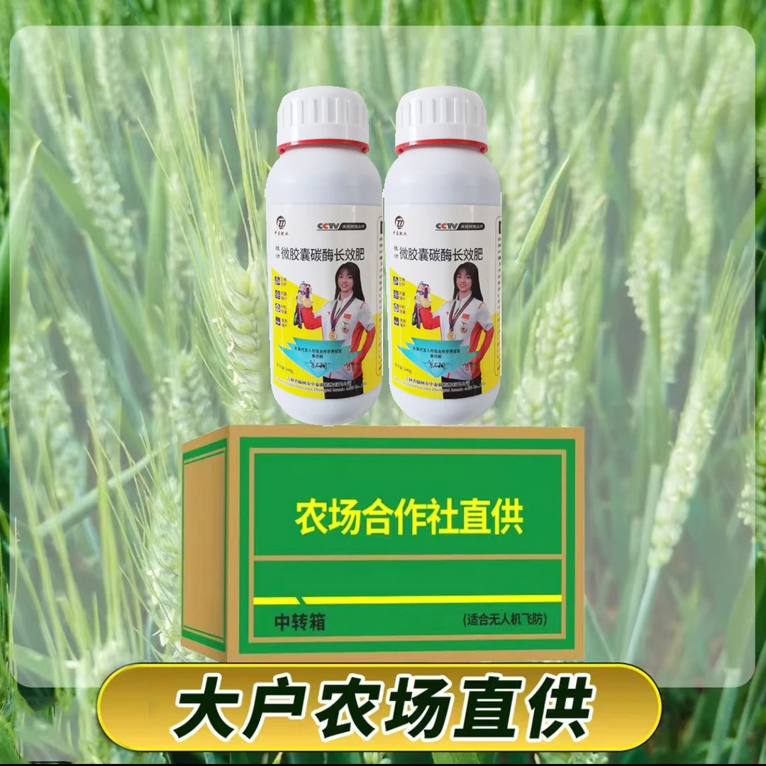 植沛小麦十亩叶面肥磷钾腐植酸叶面肥