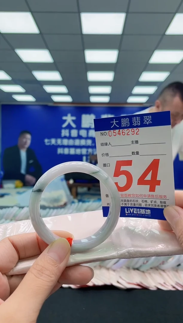 未镶嵌手镯翡翠AAAAAAAAA