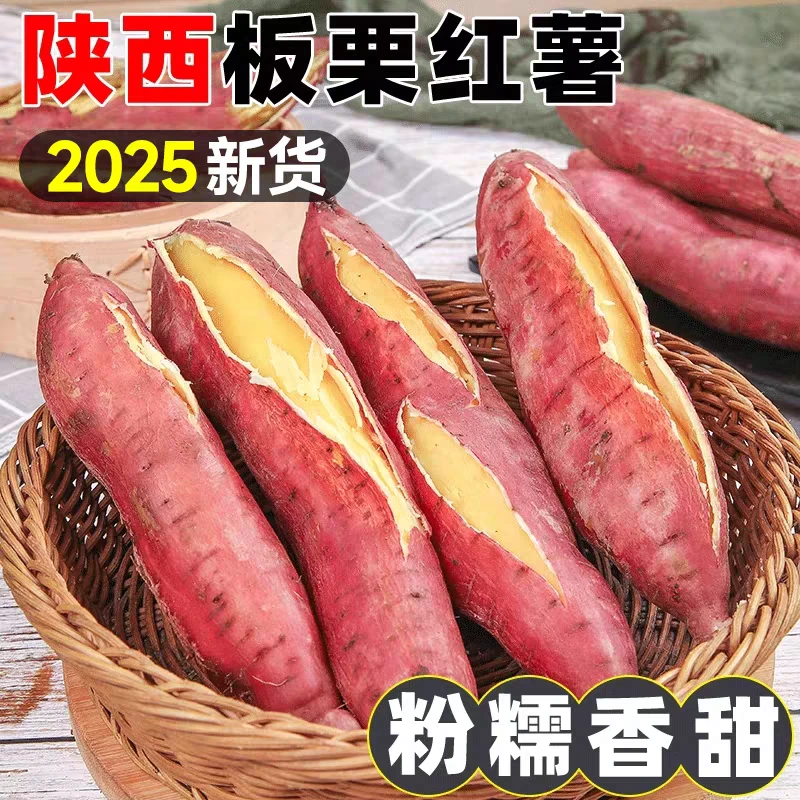 正宗板栗红薯新鲜现挖粉面香甜无筋无丝可烤可煮板栗番薯