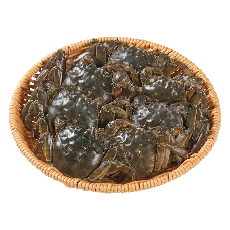 鲜活六月黄500g±15g/份（11-16只）