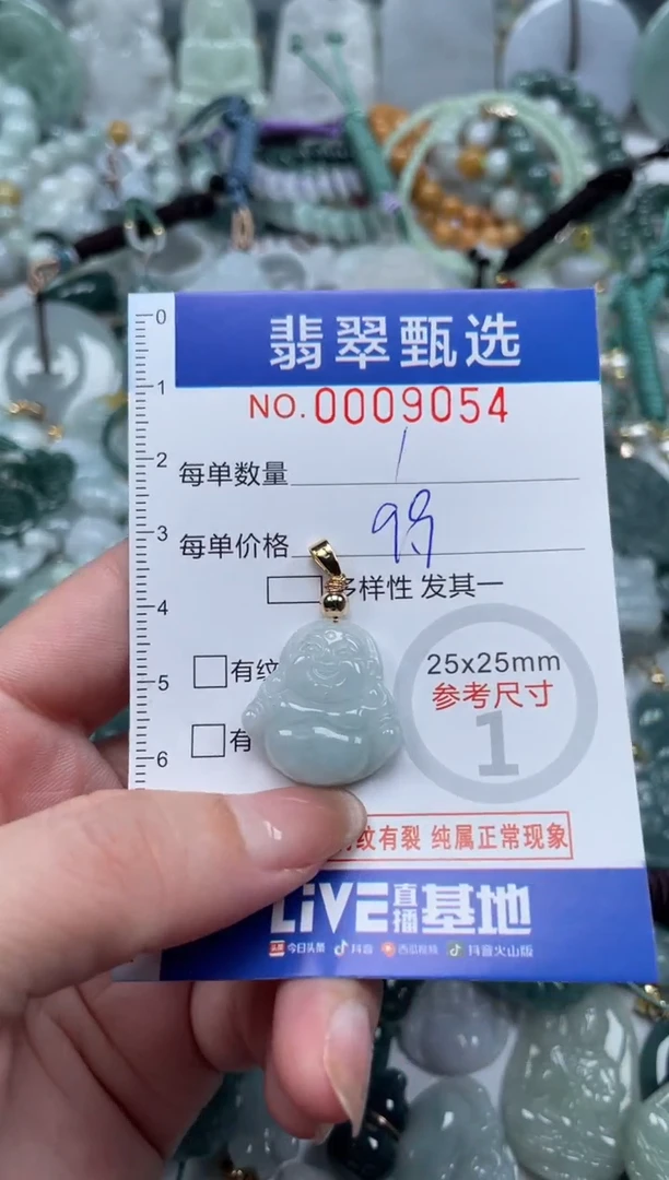 翡翠未镶嵌颈饰00..9054