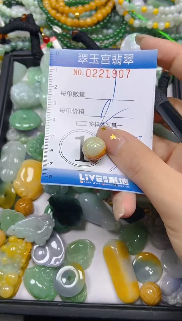 颈饰未镶嵌翡翠闪购C0221907