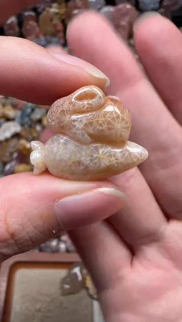 颈饰未镶嵌硅化珊瑚（珊瑚玉）640