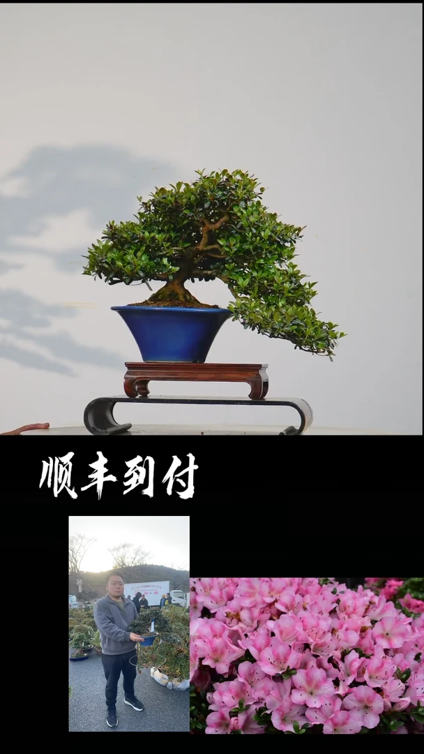 【闪购商品】·吾妻镜