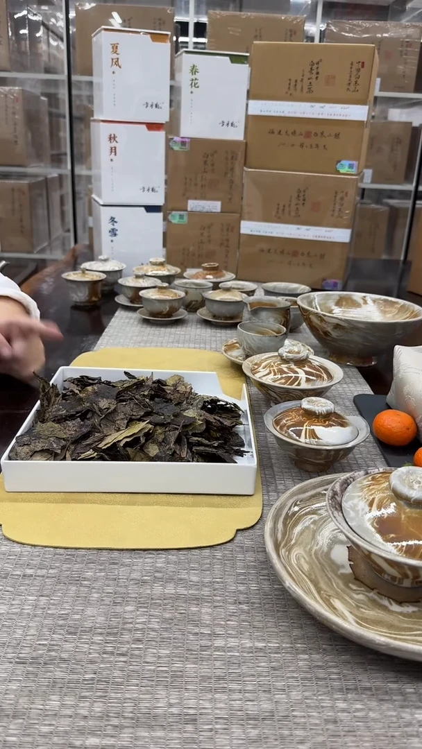 【闪购商品】瓷片于老师福利分享2号