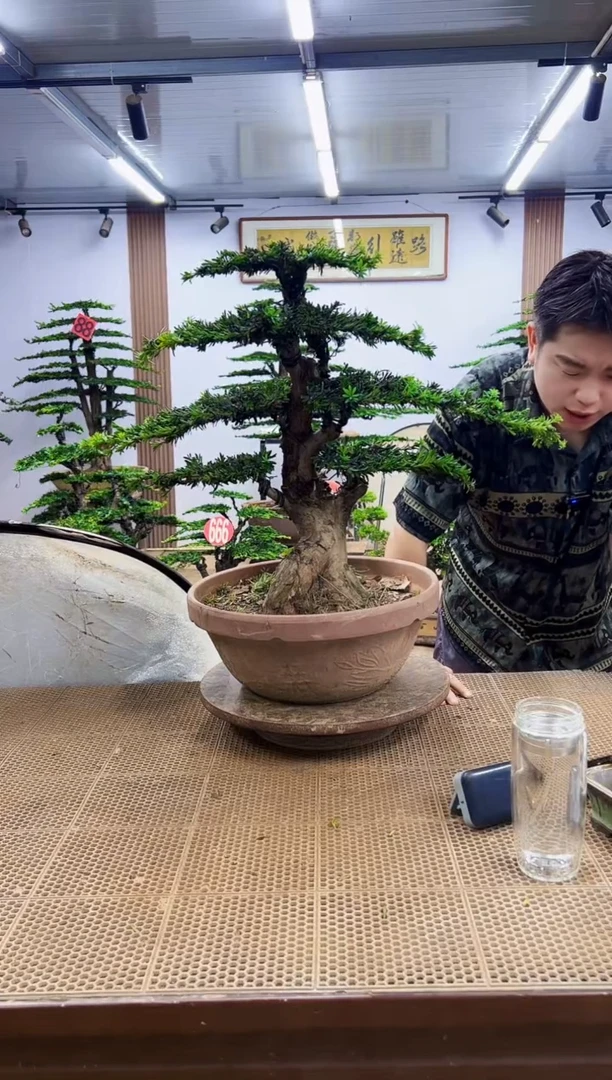 无花朵一物一拍，所见即所得