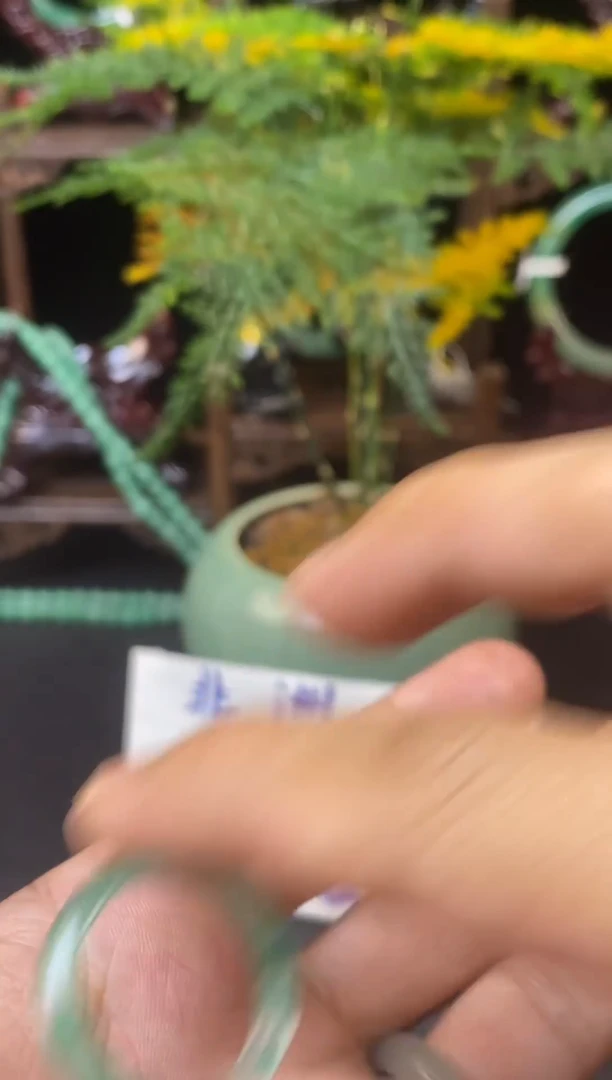 石英质玉（非洲翠）未镶嵌颈饰石英质玉（非洲翠）