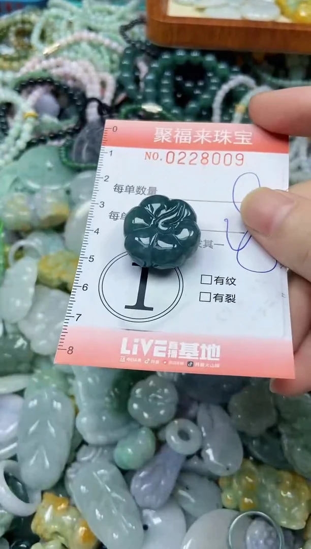 颈饰未镶嵌翡翠闪购0228009