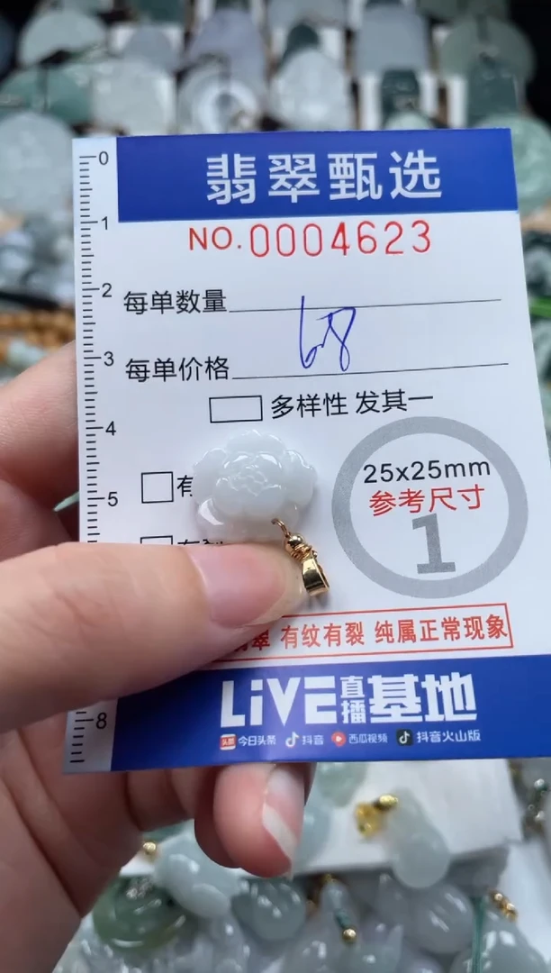 翡翠未镶嵌颈饰00..4623