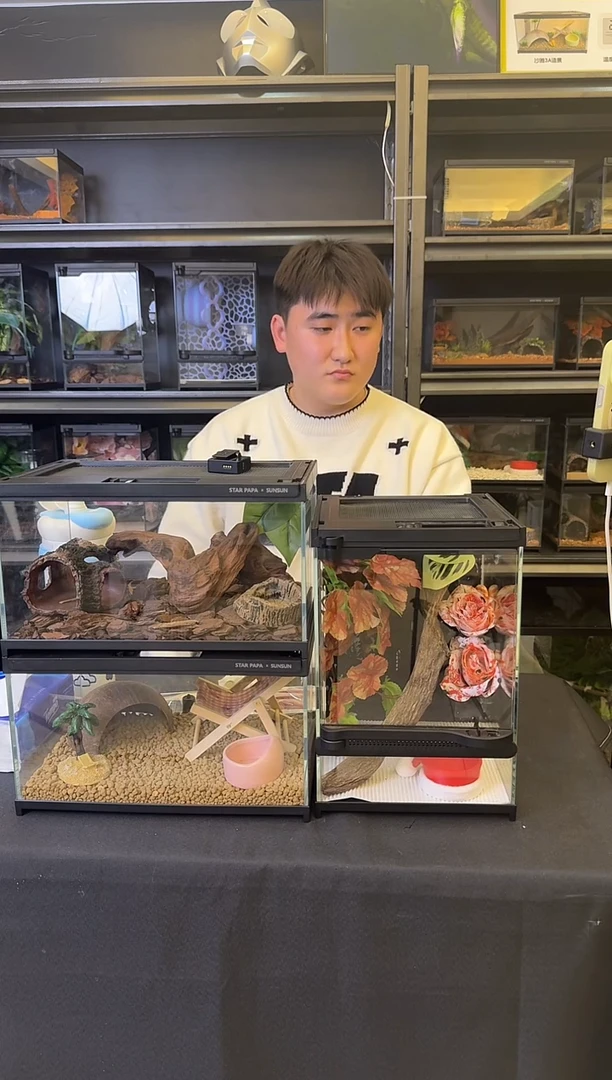 小短腿苗子专拍1111