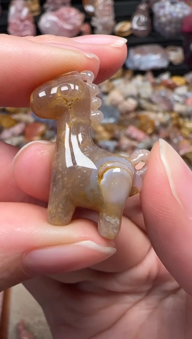 颈饰未镶嵌硅化珊瑚（珊瑚玉）395