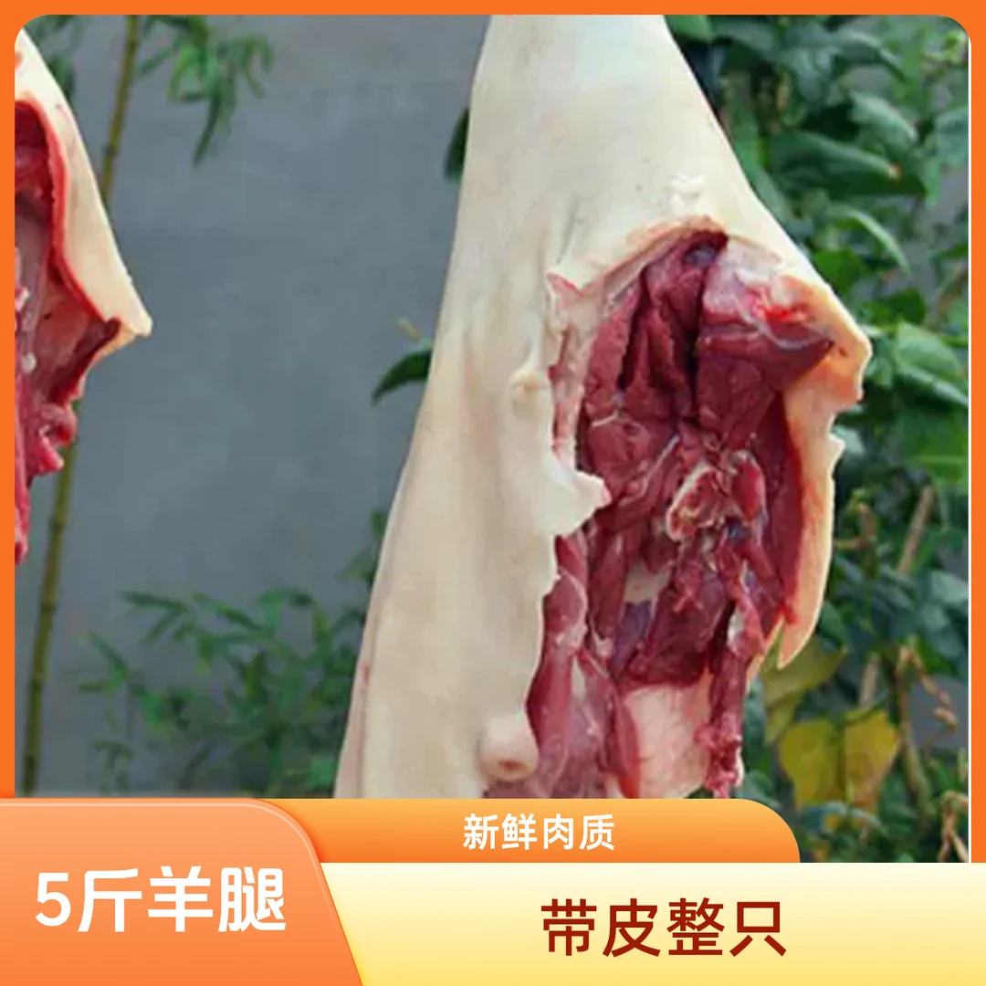 【羊腿】5斤装  带皮羊腿