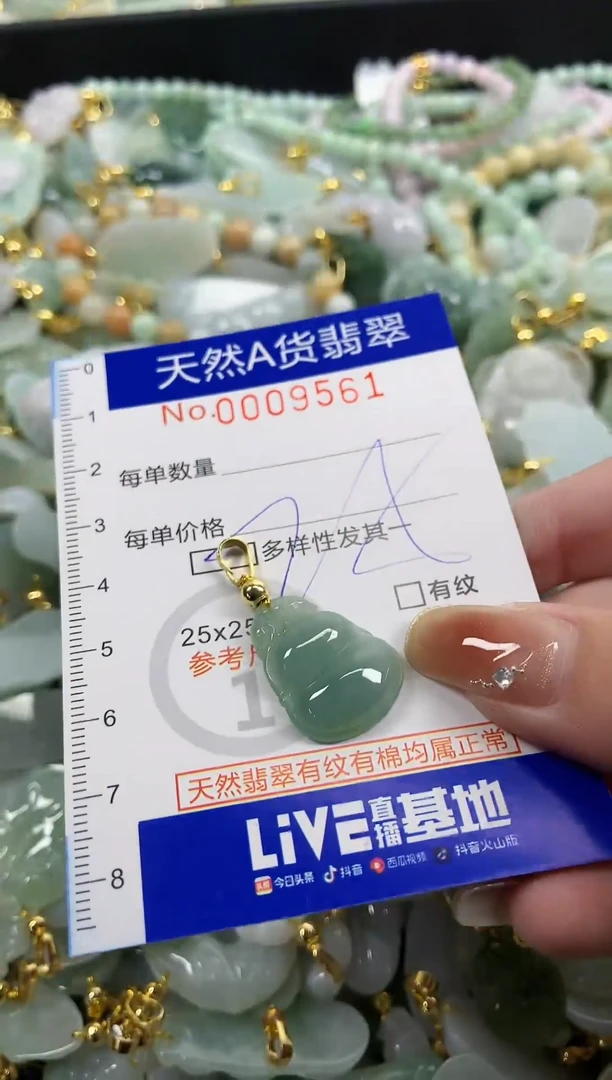 颈饰未镶嵌翡翠天然A货翡翠