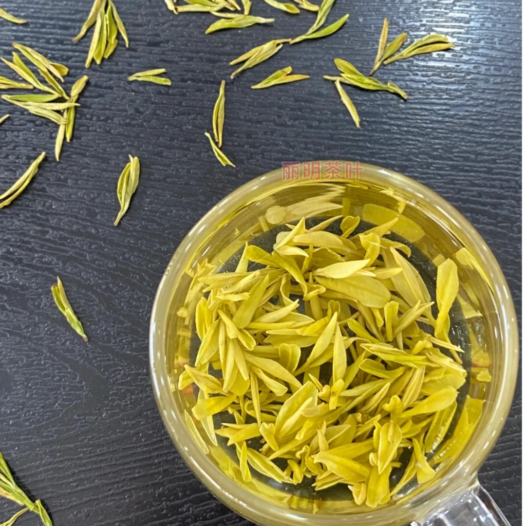 【头采小芽】 2025年T2款明前高山小芽 黄金芽 板栗香 耐泡春季