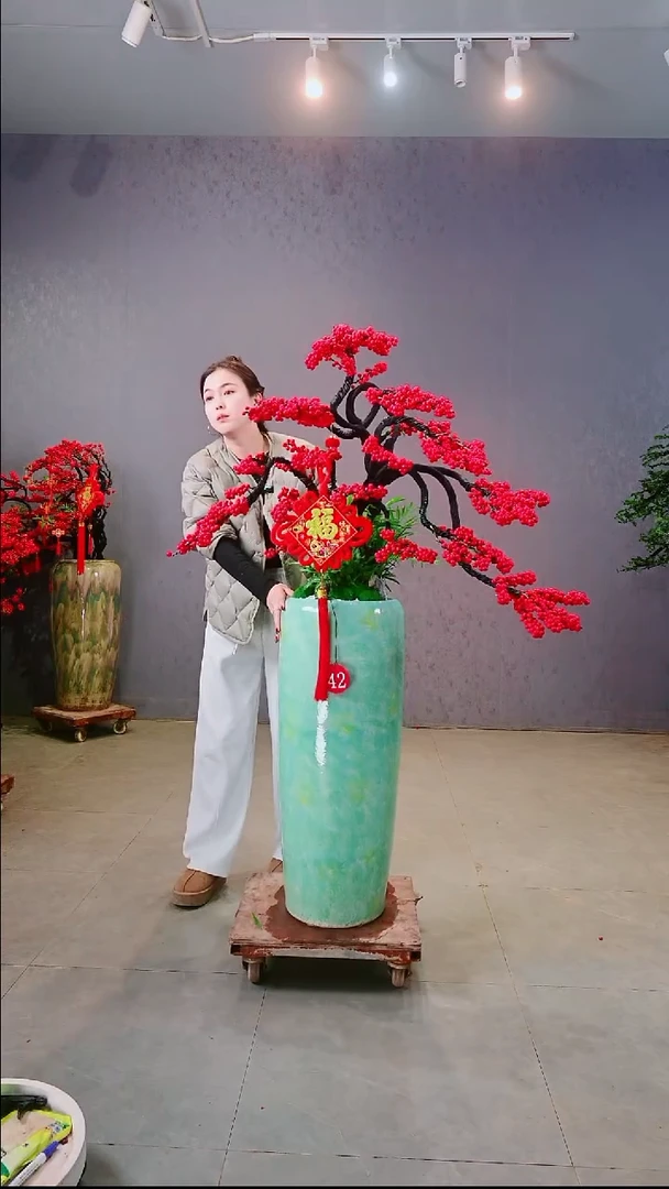 完全开放王*北美冬青