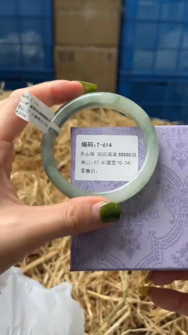 未镶嵌手镯石英质玉T614