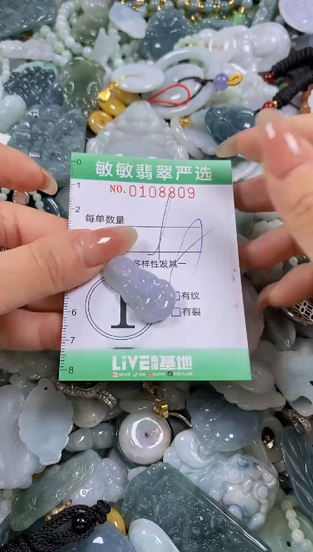 【闪购商品】翡翠颈饰未镶嵌闪购0108809