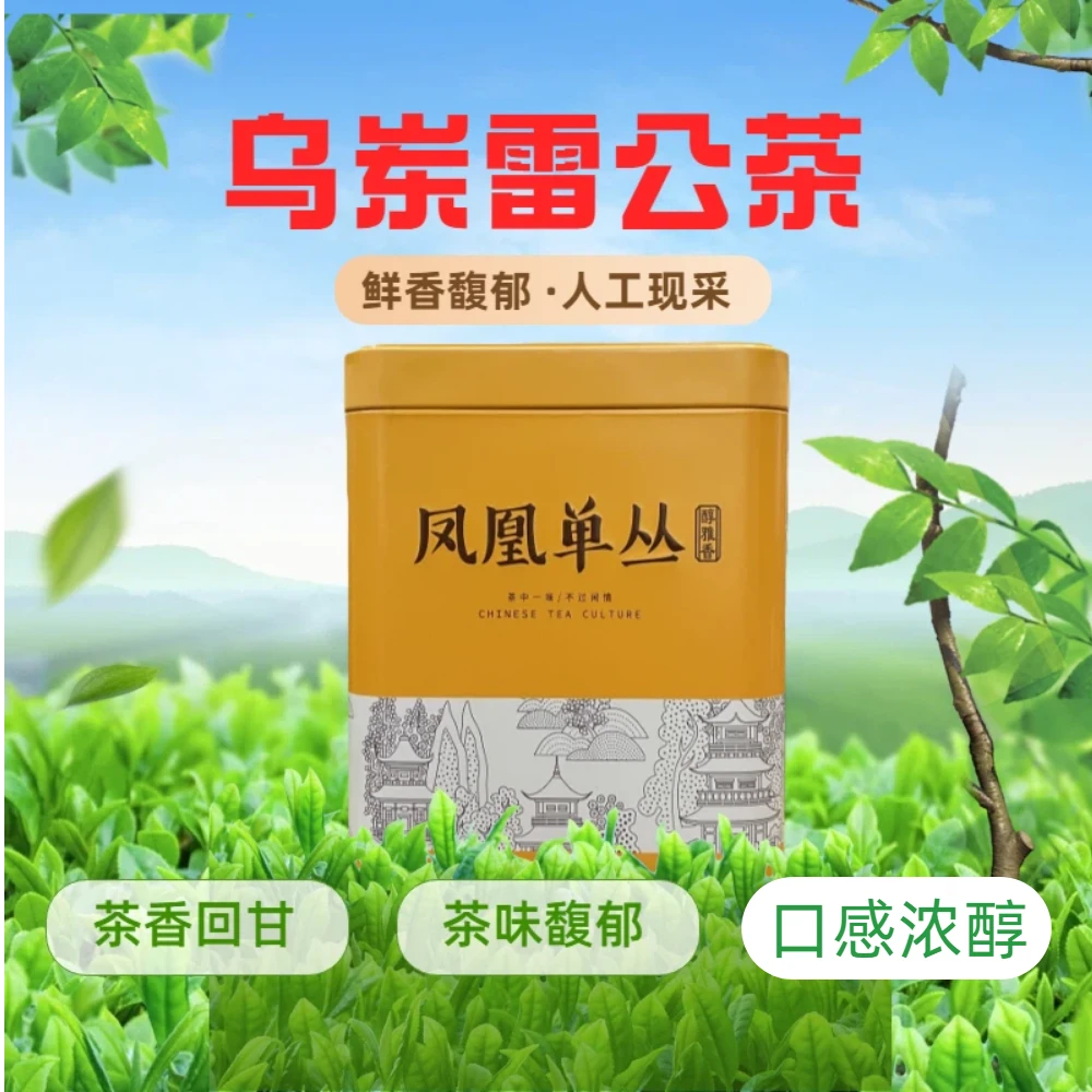 稀少品种雷公茶凤凰单枞茶乌岽单丛茶浓醇回甘