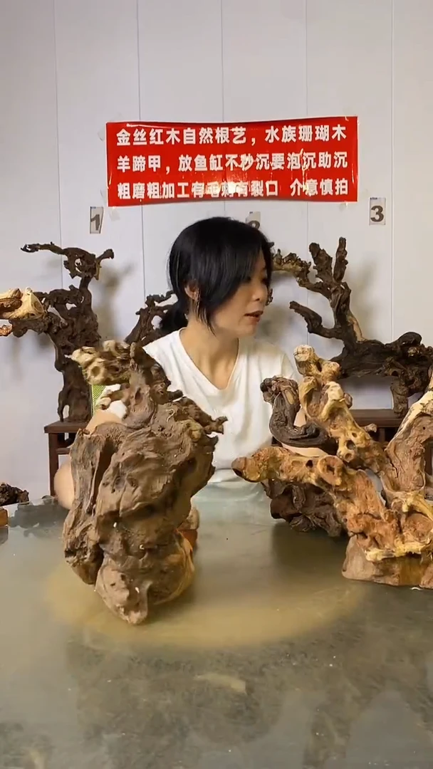 香榧木男*年金丝红木   羊蹄甲4