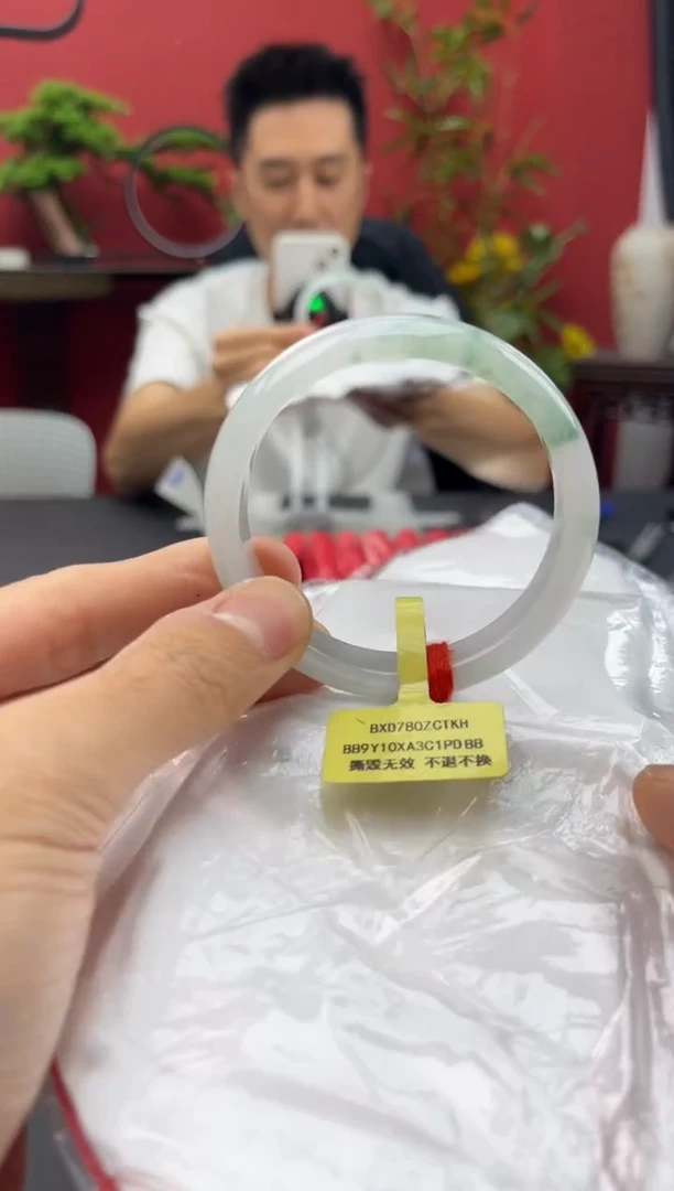 未镶嵌手镯翡翠354