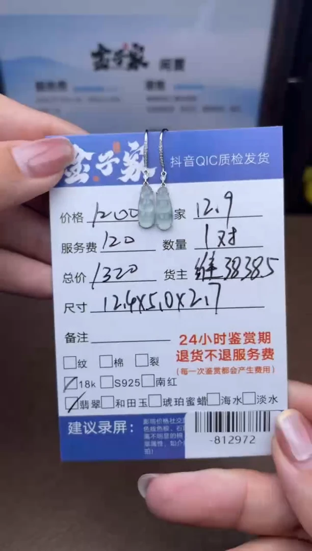 颈饰18K金镶嵌翡翠耳饰多人-812972