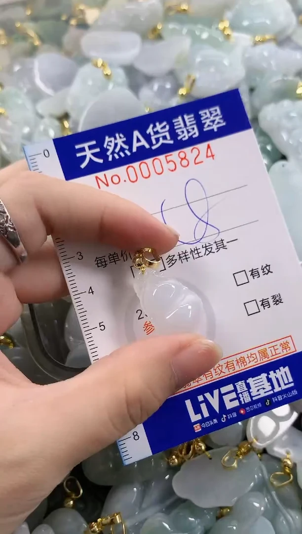 颈饰未镶嵌翡翠天然A货翡翠