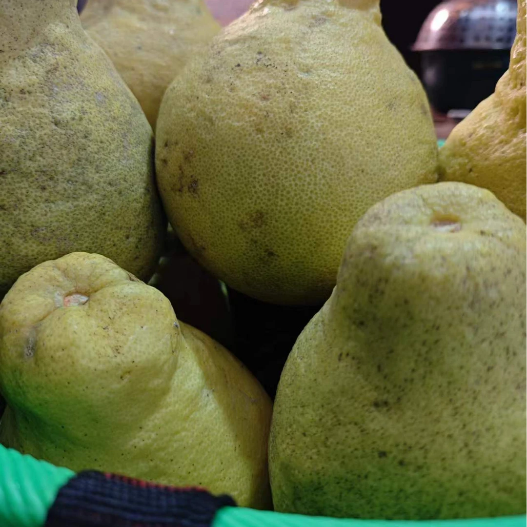 长寿湖真龙柚新鲜采摘酸甜多汁白心非沙田柚