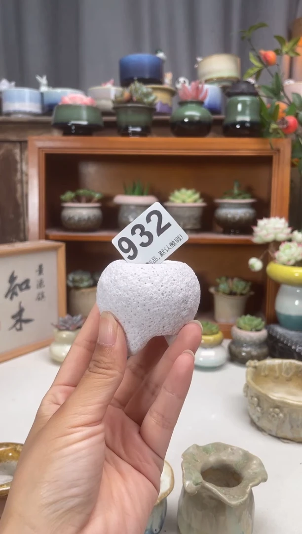 瓷片两***苗932知木小芳花盆
