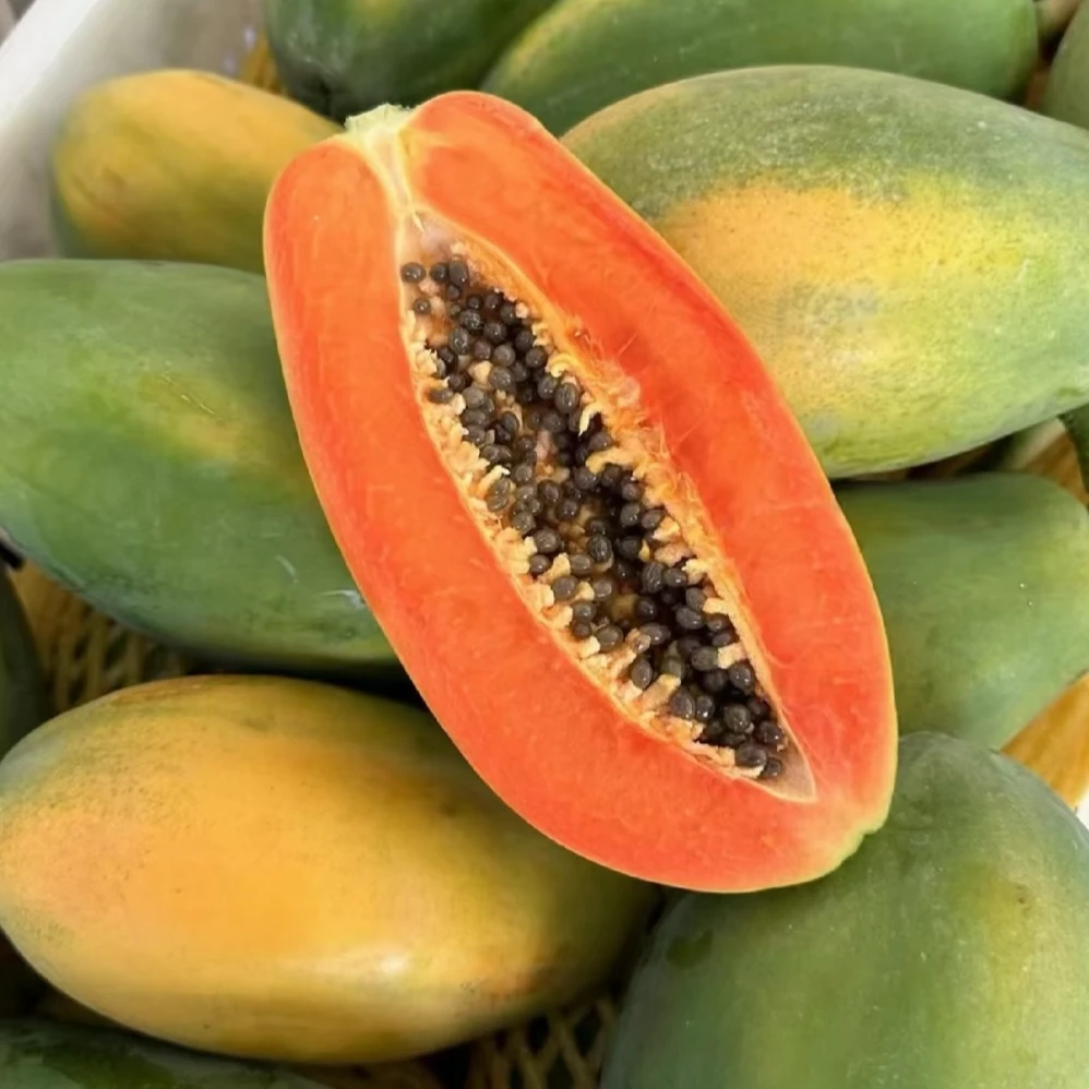 树上熟红心木瓜新鲜当季软糯香甜现摘先发全国包邮