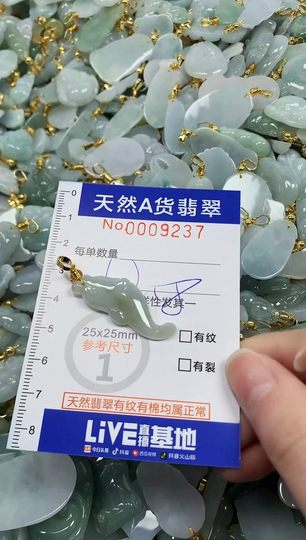 颈饰未镶嵌翡翠纯天然a货翡翠