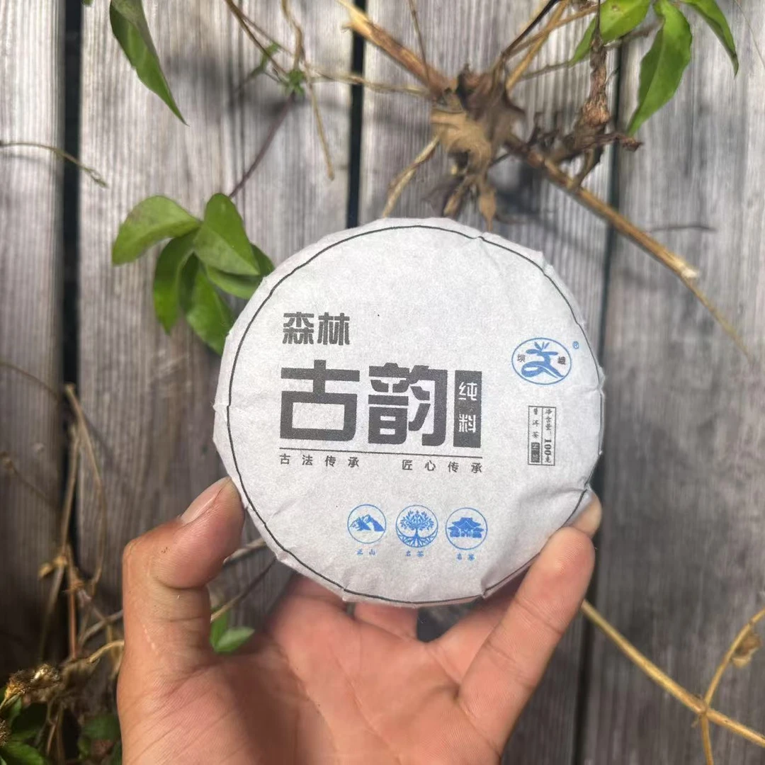 (CN435)TGY/2024年春/坝峨大箐地森林古韵/普洱生茶/100克饼（2饼）