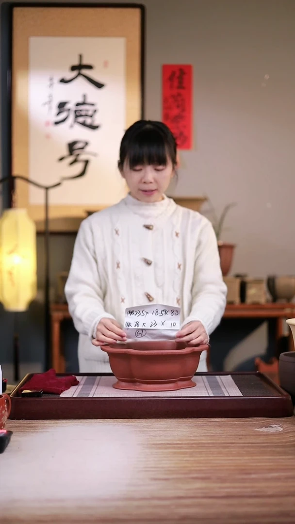 紫砂花盆海棠喷一直无托