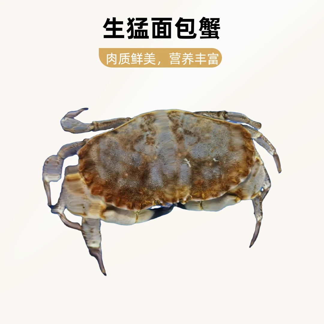 生猛面包蟹500g（称重为准）蟹同城配送螃蟹