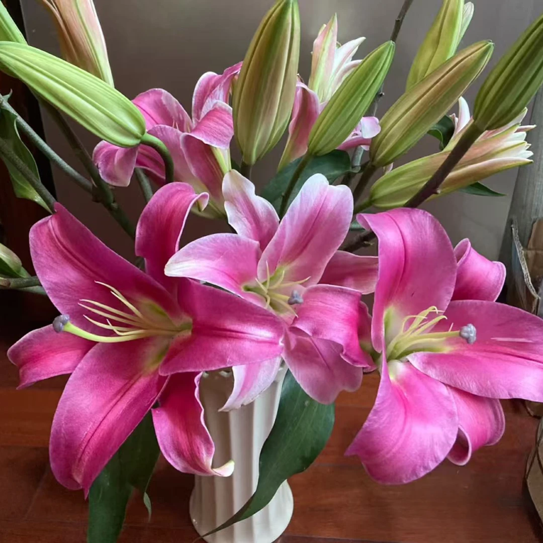 【六哥花卉】罗宾3支多头香水百合】 全场鲜花两单空运