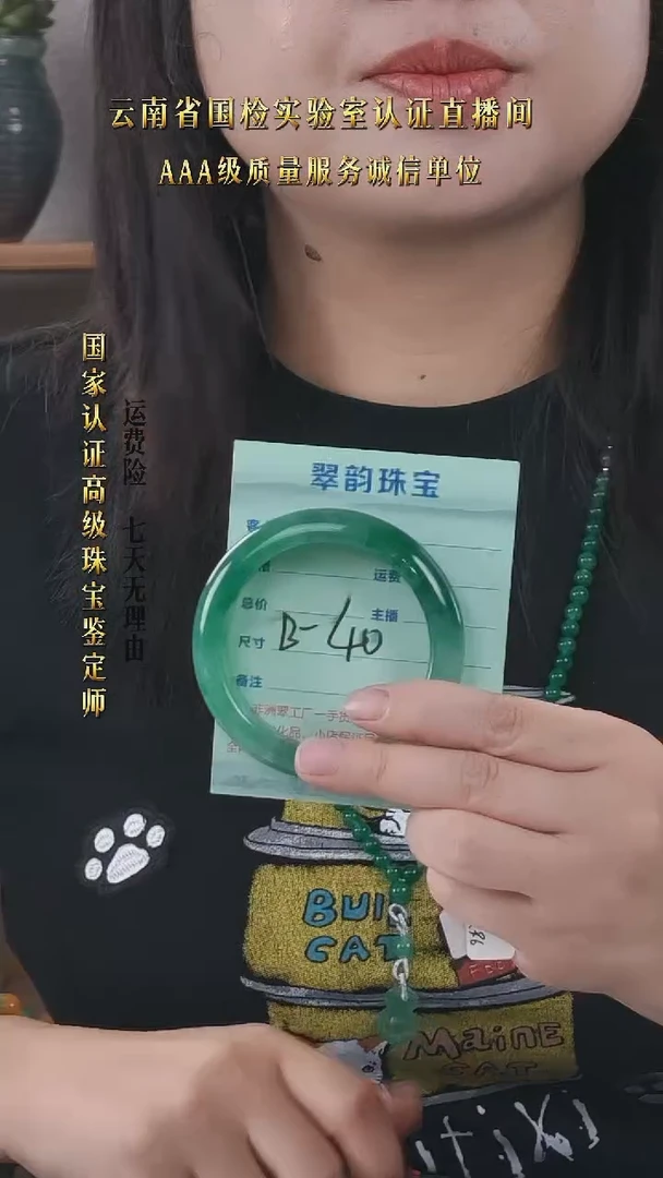 石英质玉（非洲翠）手镯未镶嵌A货非洲翠手镯