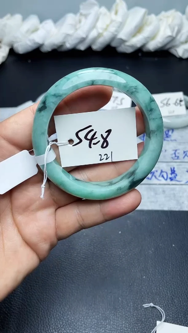 未镶嵌手镯翡翠221