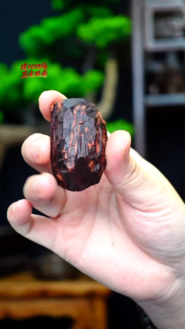 木本降真香红降花梨公随型原料