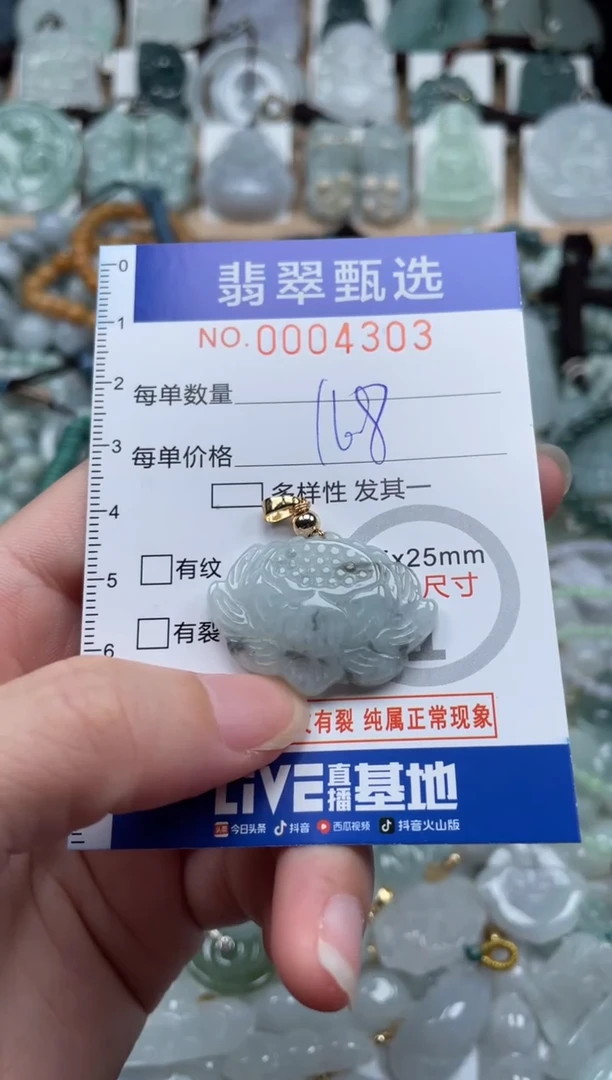 翡翠未镶嵌颈饰00..4303