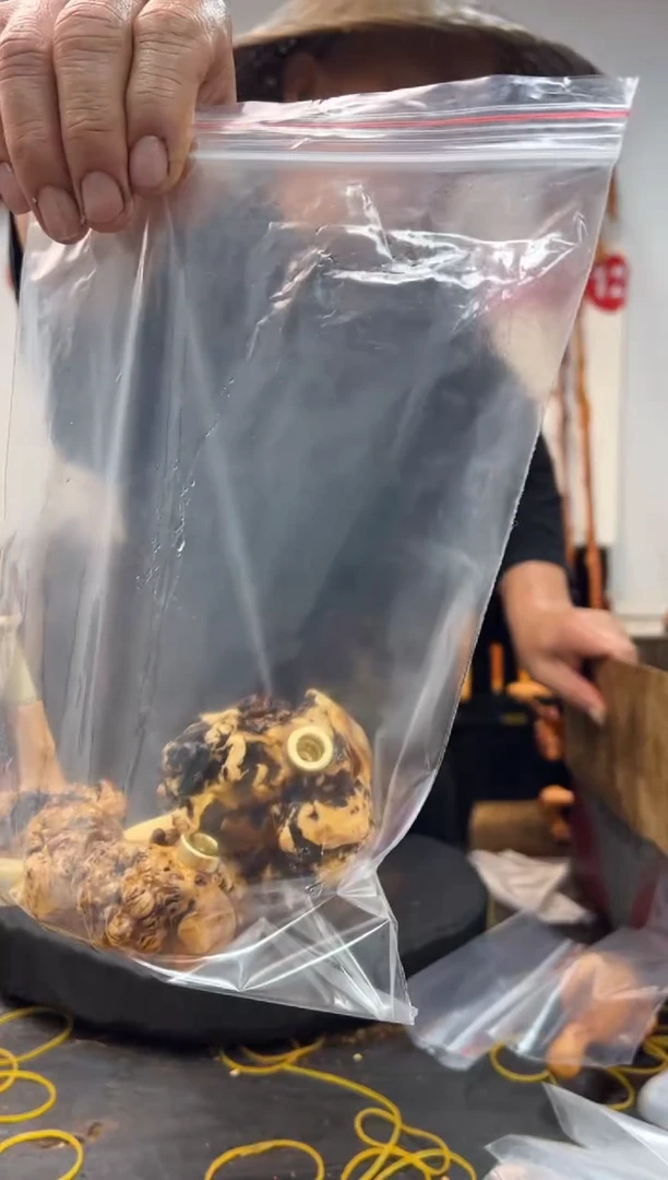 黑果木其他黑果木981