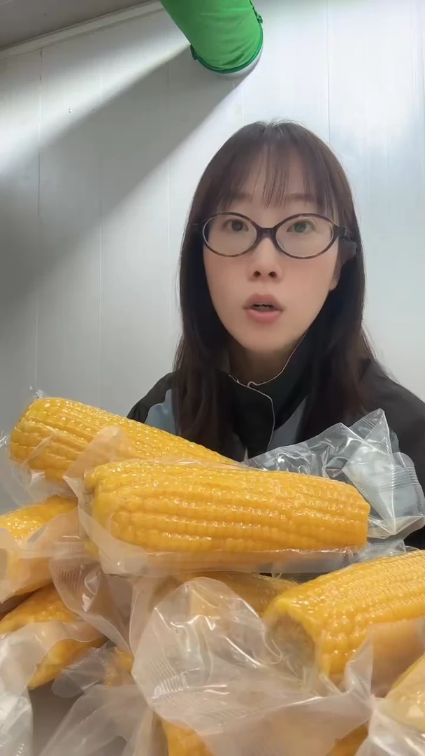 中国大陆软糯香甜的黄金玉米